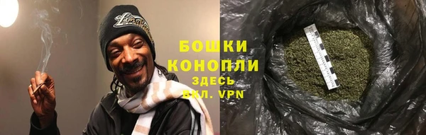 трава Арсеньев