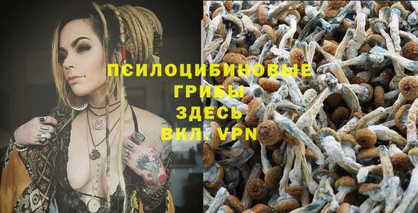 прущие крисы Аркадак